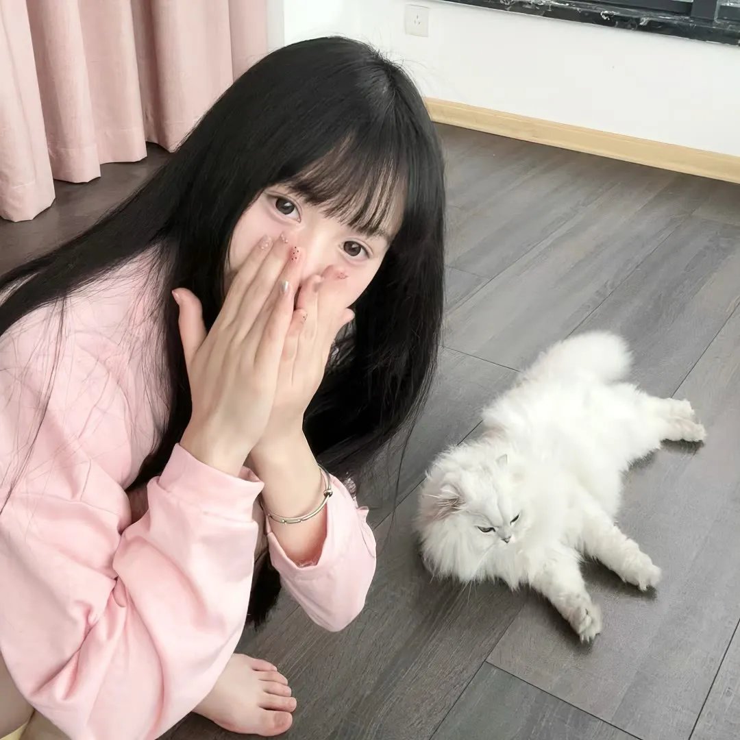 诡计